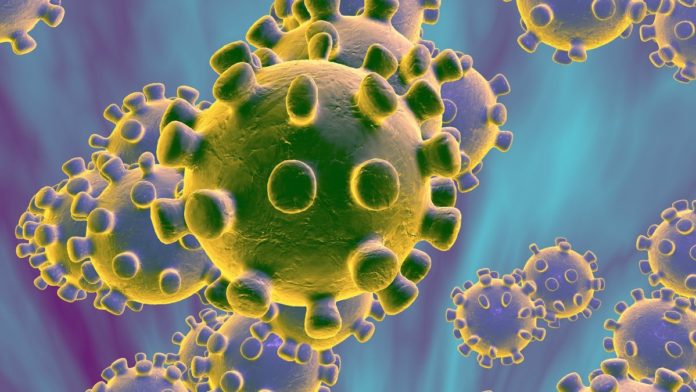 coronavirus-4