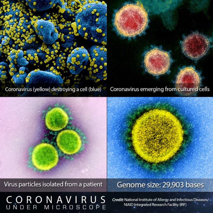 covid-19-coronavirus
