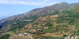 Μελίσσια: Ακυρώνεται η εκδήλωση για την γιορτή της γυναίκας melissia