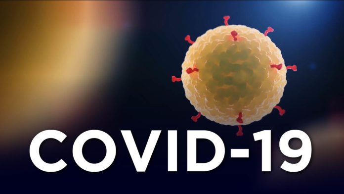 coronavirus-8