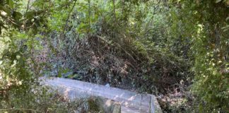 Παρατάξεις μειοψηφίας: Απόφαση «κόλαφος» του Ελεγκτικού Συνεδρίου εκθέτει ανεπανόρθωτα τη συμμαχική Δημοτική Αρχή adreysi-avlakia1
