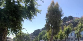 Εργασίες αποψίλωσης και καθαρισμού στη λιμενική ζώνη limani-apopsilosi-aigio