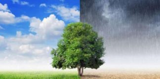 Η Ελλάδα 25η στον παγκόσμιο Δείκτη Περιβαλλοντικής Απόδοσης perivalon