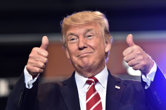 tramp