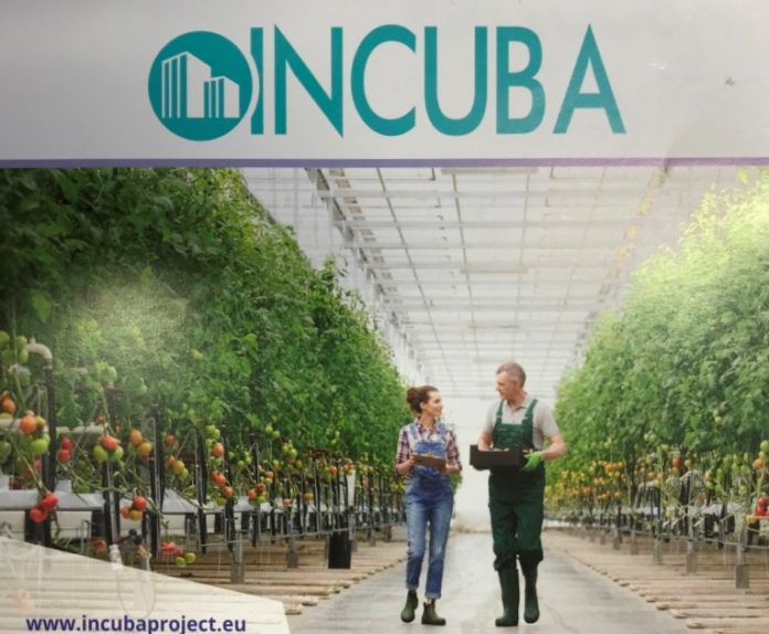 IN-CUBA-pde IN-CUBA-pde