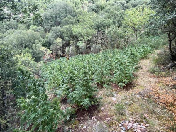 xasis-kalavryta-xorio