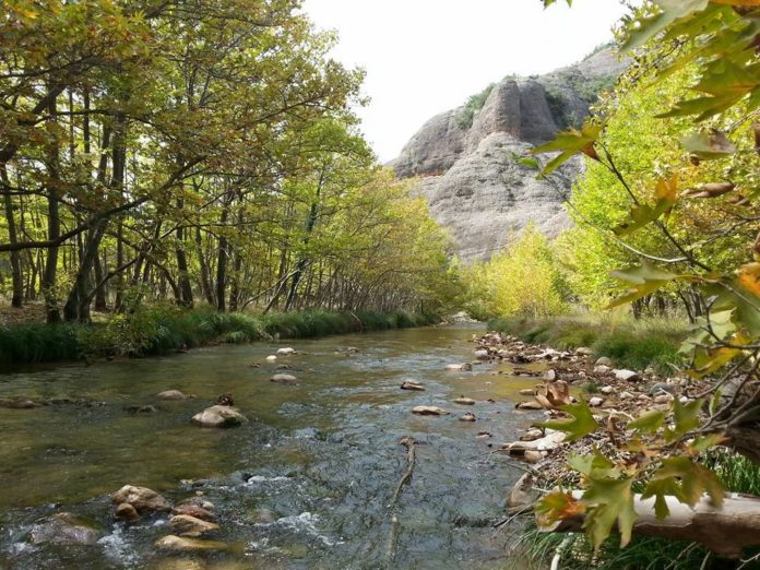 selinountas-potamos