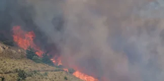 Κρίσιμη κατάσταση στη Χίο: Νέο μέτωπο πυρκαγιάς και έκτακτη επίσκεψη υπουργού