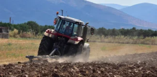 Κύκλωμα ΟΠΕΚΕΠΕ: Ο 38χρονος αρχηγός από τα Γιαννιτσά και το πάρτι των ψευδών ενισχύσεων
