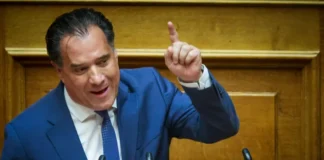 Γεωργιάδης: Η Κωνσταντοπούλου «έβαλε τρομερές τρικλοποδιές» στην Καρυστιανού