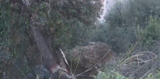 Κατάκολο Ηλείας: Βράχος 45 Τόνων «Κρέμεται» Πάνω από Σπίτια – Σχέδιο Ελεγχόμενης Ανατίναξης