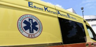 Τρόμος σε Αγροτικό Κτήμα: Ελιά Ξεριζώθηκε και Καταπλάκωσε Εργάτη στο Αίγιο – Στο Νοσοκομείο ο Τραυματίας