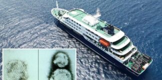 Hantavirus: Γάλλος υπήκοος ταυτοποιήθηκε ως κρούσμα επαφής – Η ιχνηλάτηση συνεχίζεται