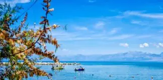 Καιρός: «Εκρηκτικό κοκτέιλ» με 40άρια και μελτέμια – Ποιες περιοχές θα επηρεαστούν, πότε εξασθενούν οι άνεμοι