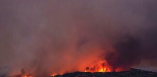 Τρεις συλλήψεις για πυρκαγιές από αμέλεια σε Ηλεία, Κιλκίς και Εύβοια – Ξεπέρασαν τις 456.000 ευρώ τα πρόστιμα