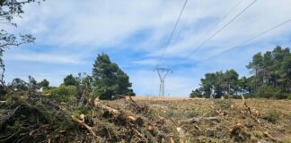 Καθαρισμός οικοπέδων: Μετράει αντίστροφα η προθεσμία – Πρόστιμα και έλεγχοι από την Τρίτη