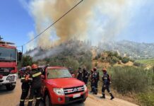 Αιγιάλεια: Φωτιά στο Πανόραμα – Κινητοποίηση της Πυροσβεστικής και από την Πάτρα