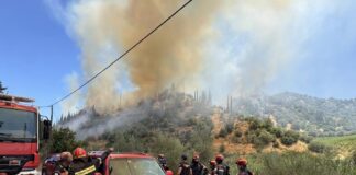 Αιγιάλεια: Φωτιά στο Πανόραμα – Κινητοποίηση της Πυροσβεστικής και από την Πάτρα