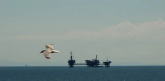 Η Ελλάδα παίρνει θέση στον παγκόσμιο χάρτη του άνθρακα