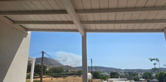 Πάρος: Σε εξέλιξη η μάχη με τις φλόγες – 20 πυροσβέστες σπεύδουν από Ελευσίνα με C-27J