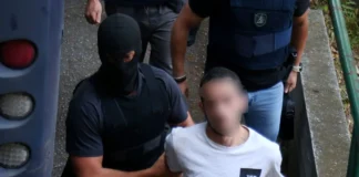 Θεσσαλονίκη: Τέταρτη προφυλάκιση για το έγκλημα της οικογένειας Νέστορα – Ο ρόλος του 25χρονου