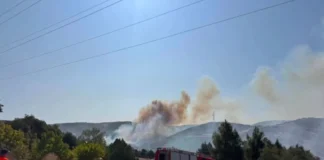 Φωτιά στο Δερβένι Θεσσαλονίκης – Ενεργοποιήθηκε το 112 και διεθνής συνδρομή