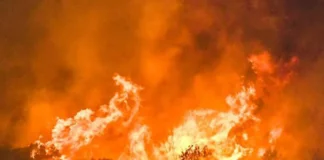 Δύο πυρκαγιές στη Δυτική Ελλάδα – Σε εξέλιξη τα μέτωπα σε Αχαΐα και Αιτωλοακαρνανία