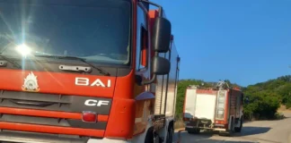 Πυροσβεστική: «Έπεσαν ηρωικά στο βωμό του καθήκοντος» οι δύο νεκροί πυροσβέστες στην Κρήτη