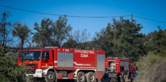 Φωτιά στο Ανθόφυτο Αιτωλοακαρνανίας – Στην περιοχή ρίψεις από 6 εναέρια μέσα