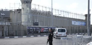 Ισραήλ: Το προκλητικό σχέδιο “Φυλακή Κροκόδειλων” – Κροκόδειλοι για τη φύλαξη Παλαιστινίων κρατουμένων