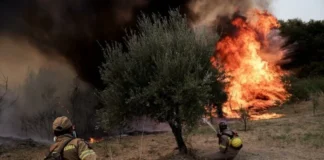 Πύλος: Μάχη με τις φλόγες και ταυτόχρονη έρευνα για εμπρησμό – 2 αεροσκάφη, 21 πυροσβέστες και drone στη γραμμή