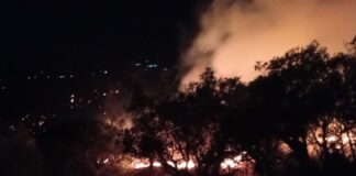 Αίγιο: Νέα μηνύματα 112 για εκκένωση σε Νέο Ερινεό και Αρραβωνίτσα – Σε εξέλιξη η φωτιά στις Νερατζιές