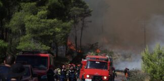 Κεφαλονιά: Συνελήφθη 44χρονος για εμπρησμό – Είχε καταδικαστεί ξανά για παρόμοια αδικήματα