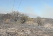 Δήμος Αιγιάλειας: Προθεσμία έως 14 Αυγούστου για δηλώσεις ζημιάς σε αγρότες από την πυρκαγιά