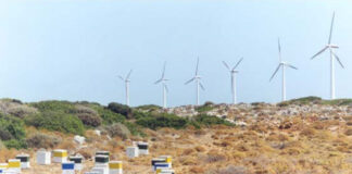 Χωροταξικό ΑΠΕ: Μικρές υποχωρήσεις, μεγάλοι «κόφτες» – Το νέο πλαίσιο για τα αιολικά παραμένει αυστηρό Χωροταξικό ΑΠΕ αιολικά: Αιολικό πάρκο σε ελληνικό τοπίο.