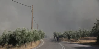 Νέα αναζωπύρωση στη Λιβαδόστρα – Μήνυμα 112 για εκκένωση, οι φλόγες 15 μέτρα από τα σπίτια