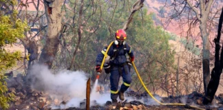 Αμφιλοχία: Ηλεκτροπληξία σε πυροσβέστη κατά την κατάσβεση – Δύο λεπτά χωρίς αισθήσεις