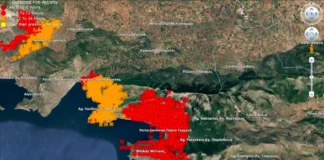 Βοιωτία: Πάνω από 50.000 στρέμματα έχουν γίνει στάχτη – «Ασύλληπτη η καταστροφή» λέει ο πυρομετεωρολόγος