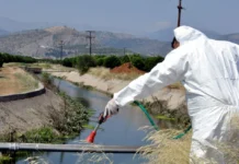 Ιός του Δυτικού Νείλου: 157 κρούσματα και 13 νεκροί – Στο «κόκκινο» η Ανατολική Αττική