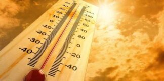«Hot, Dry, Windy»: 40άρια, ισχυροί βοριάδες και αυξημένος κίνδυνος πυρκαγιάς