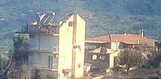 Φωκίδα: Η επόμενη μέρα της φωτιάς – Οι κάτοικοι επιστρέφουν σε μια εικόνα καταστροφής