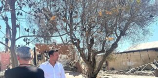 Πάτρα: Η φωτιά έκαψε το σπίτι του, η γραφειοκρατία τον τελείωσε – Η ιστορία του Γιάννη Κοψίνη