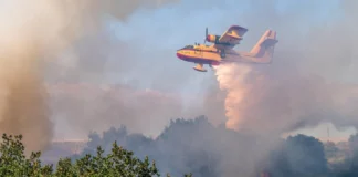 Φωτιά στη Λάρισα: 31 πυροσβέστες και 4 εναέρια μέσα – Έρευνα για τα αίτια