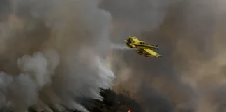 Σε εξέλιξη η φωτιά στο Μουζάκι Ηλείας – Καίει αναγεννημένο πευκοδάσος, επιχειρούν 3 αεροσκάφη και 1 ελικόπτερο Φωτιά στο Μουζάκι Ηλείας: Εναέρια μέσα επιχειρούν για την κατάσβεση της πυρκαγιάς