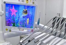Επιστρέφει το Dentist Pass – Δωρεάν οδοντιατρικοί έλεγχοι για 300.000 παιδιά