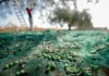 Ελαιόλαδο: Η ισπανική υπερπροσφορά ρίχνει τις τιμές στα τάρταρα – Οι Έλληνες παραγωγοί δεν κατεβάζουν τα δίχτυα